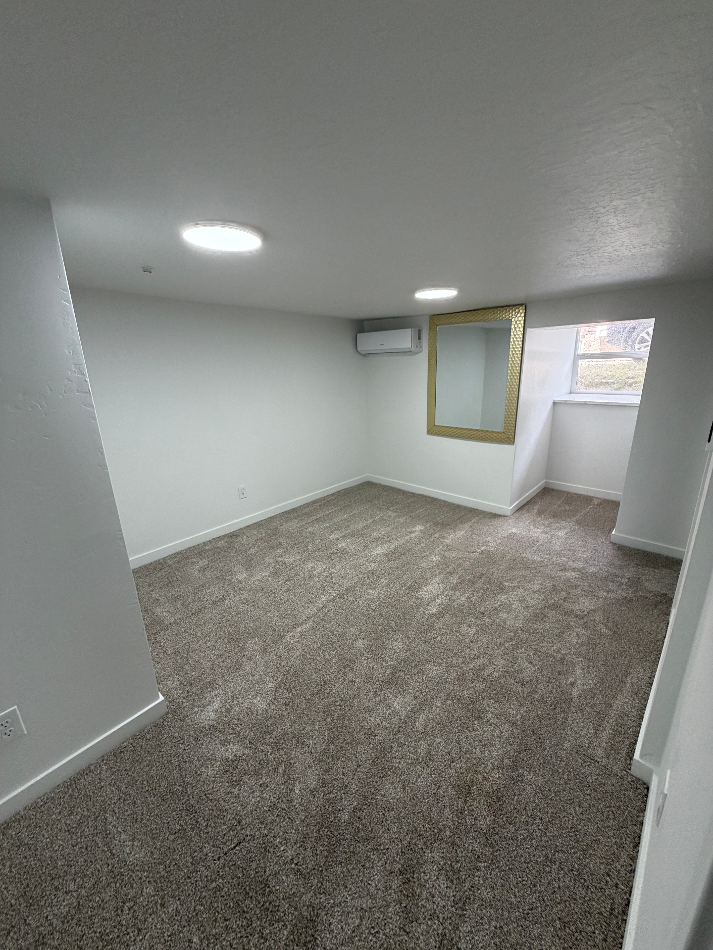 Finished basement living area