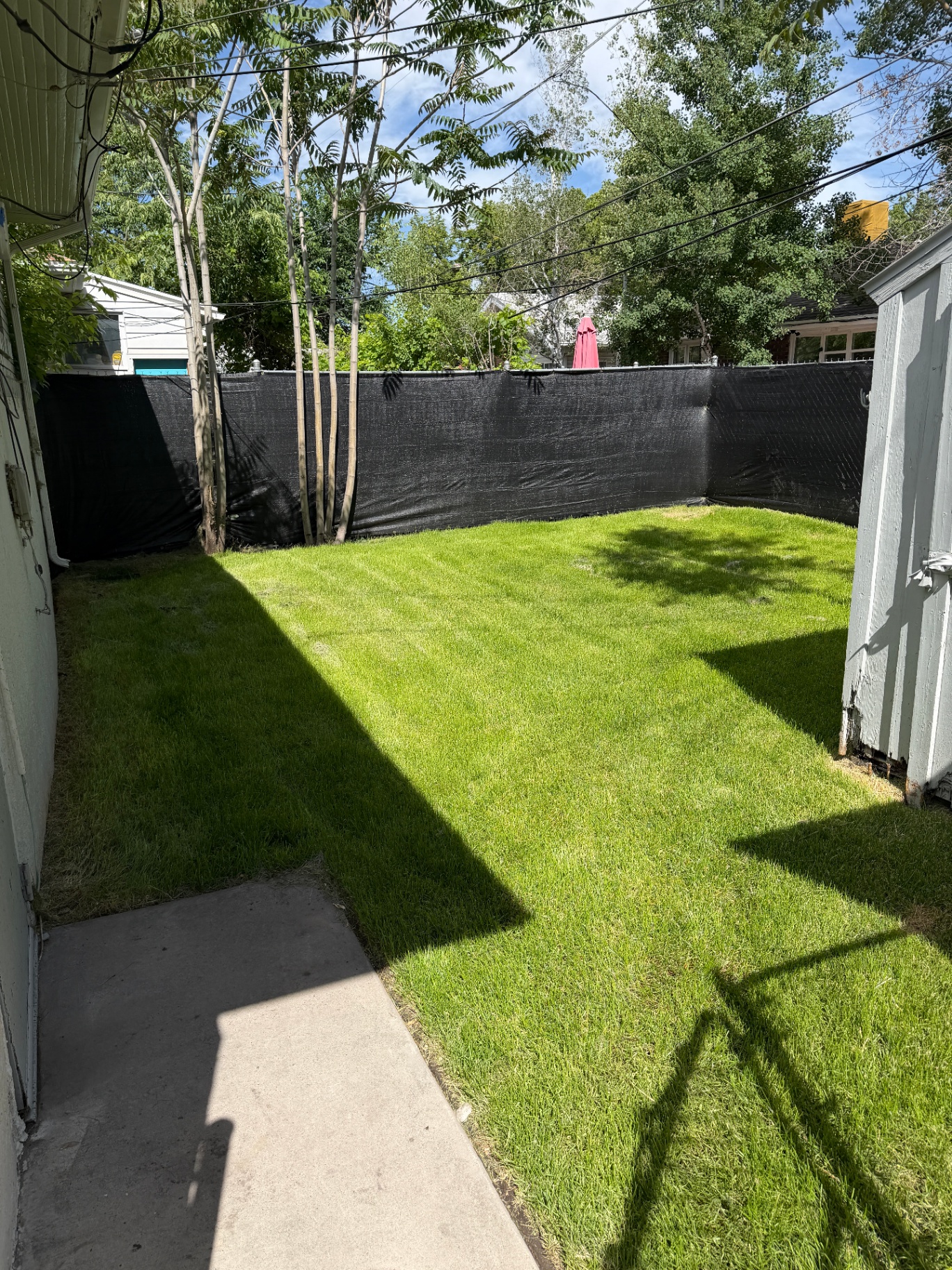 Fenced backyard